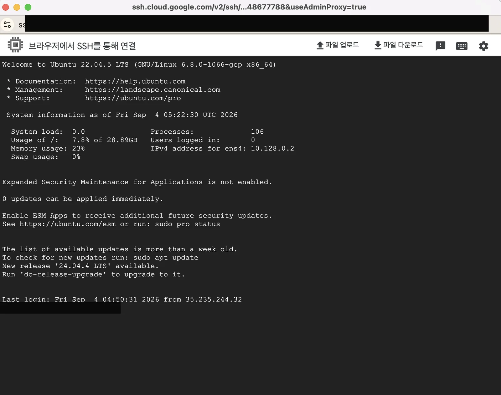 GCP Console 브라우저 SSH 접속 직후 화면