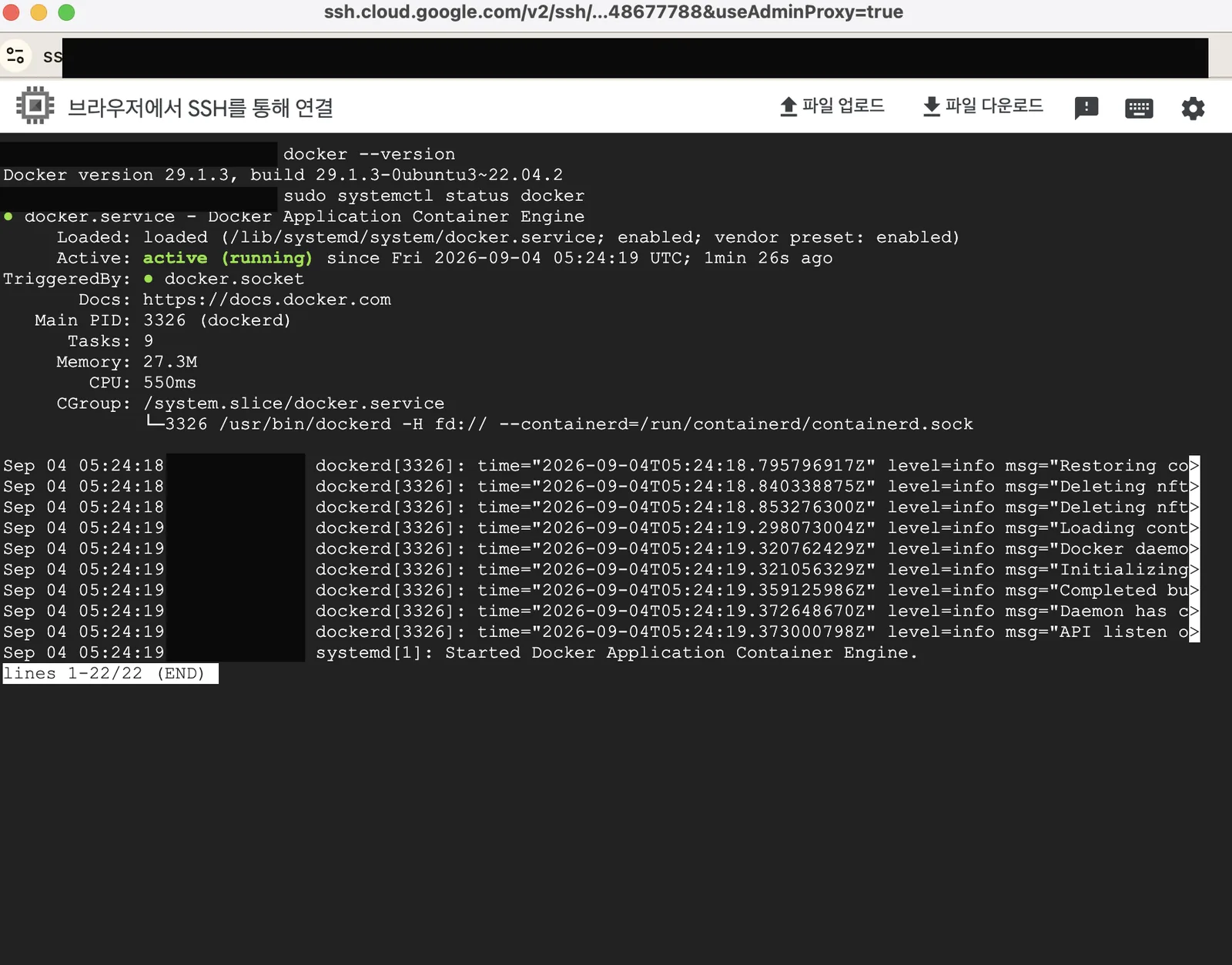 docker --version과 systemctl status docker 출력
