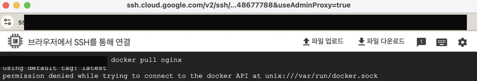 docker pull nginx 실행 시 permission denied 에러