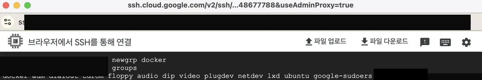 newgrp docker 실행 후 groups 출력에 docker가 포함됨