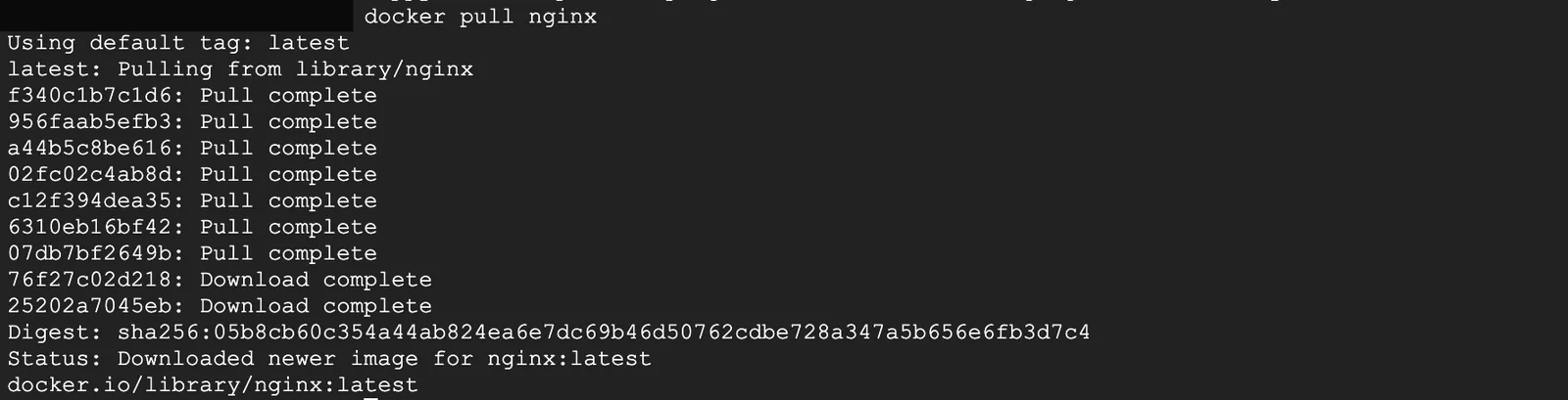 docker pull nginx 레이어 다운로드 로그