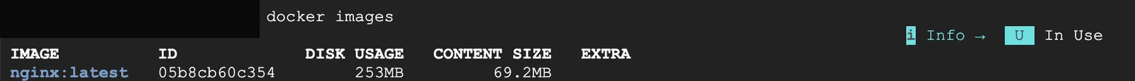 docker images 출력, nginx:latest 이미지 확인